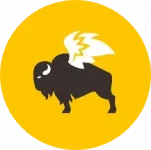 Buffalo Wild Wings